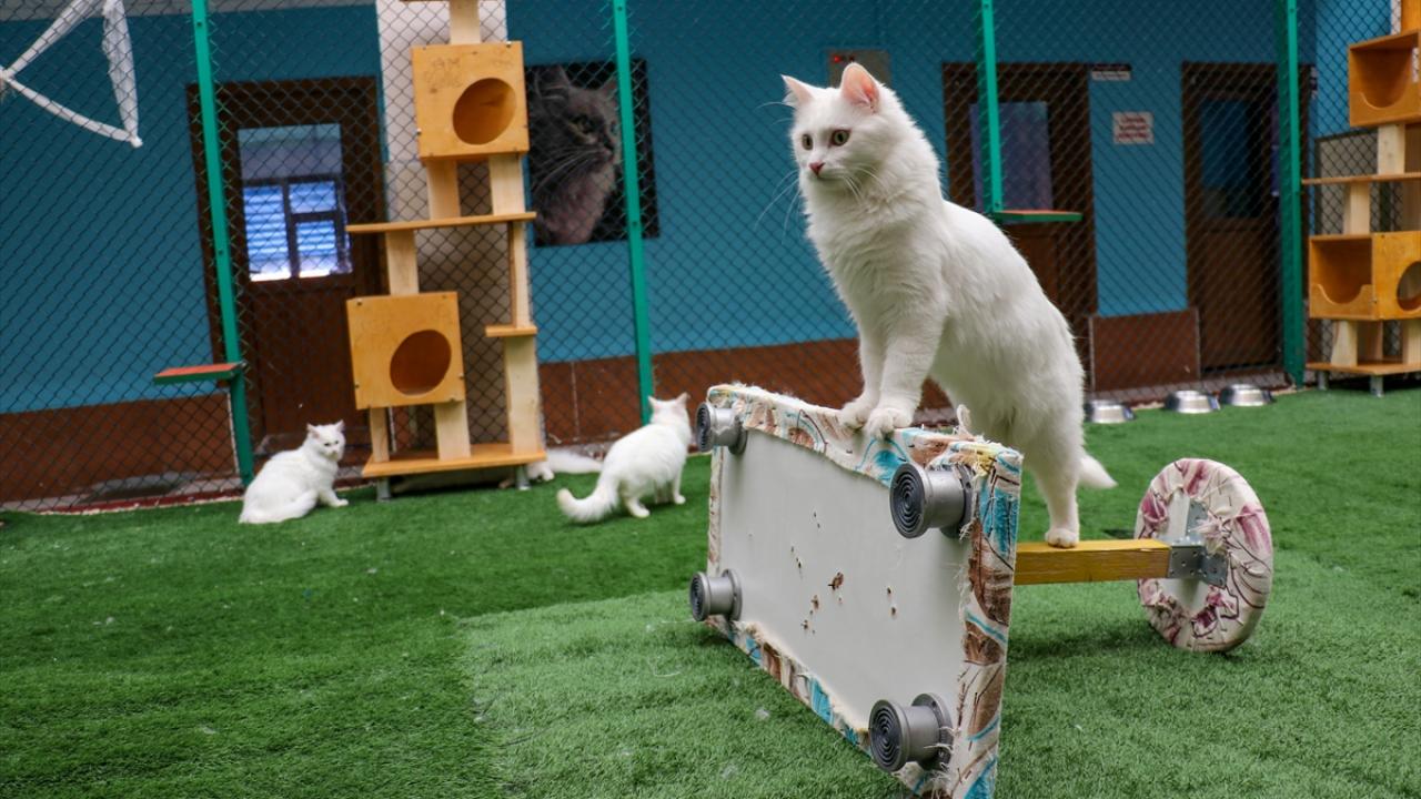 "Her yıl büyüyen bir aileyiz"