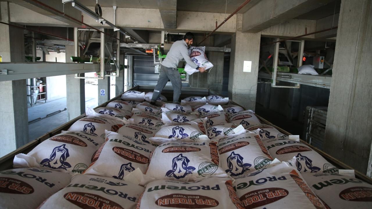 "Fabrikamızda yıllık 300 bin ton yem üretme kapasitemiz var"