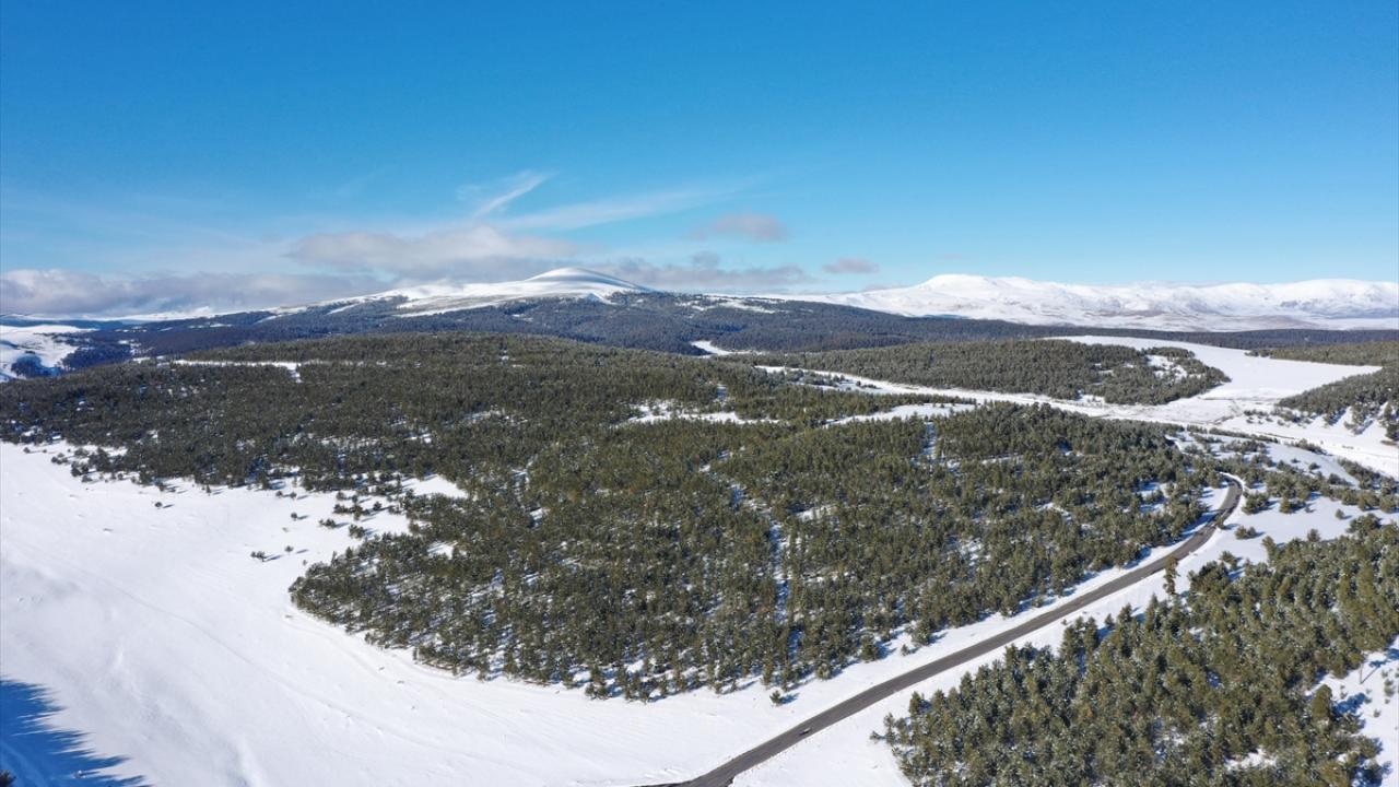 Sarıkamış Harekatı ile ilgili 40 yıldır çalışma yapıyor
