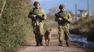Mehmetçik'in sadık dostları her an göreve hazır
