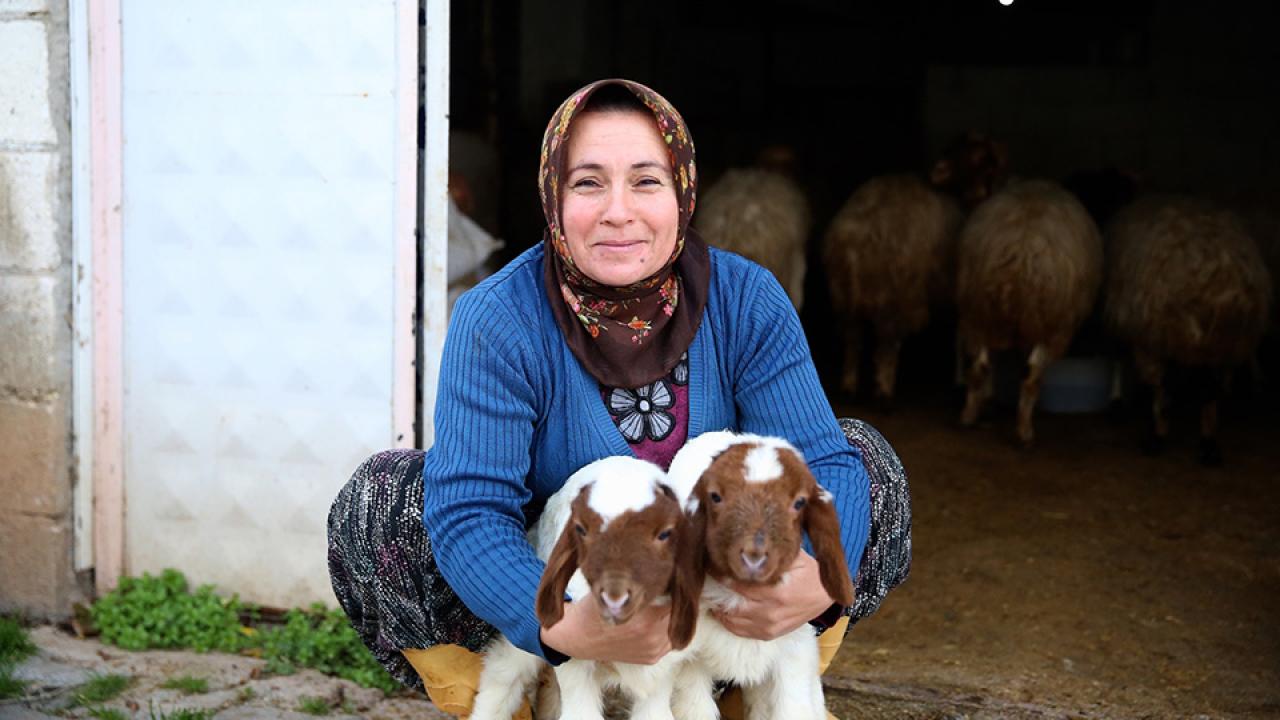Durular Tarım Ürünleri