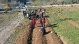 "Maraş dondurması"nın ham maddesi salebin fideleri toprakla buluştu