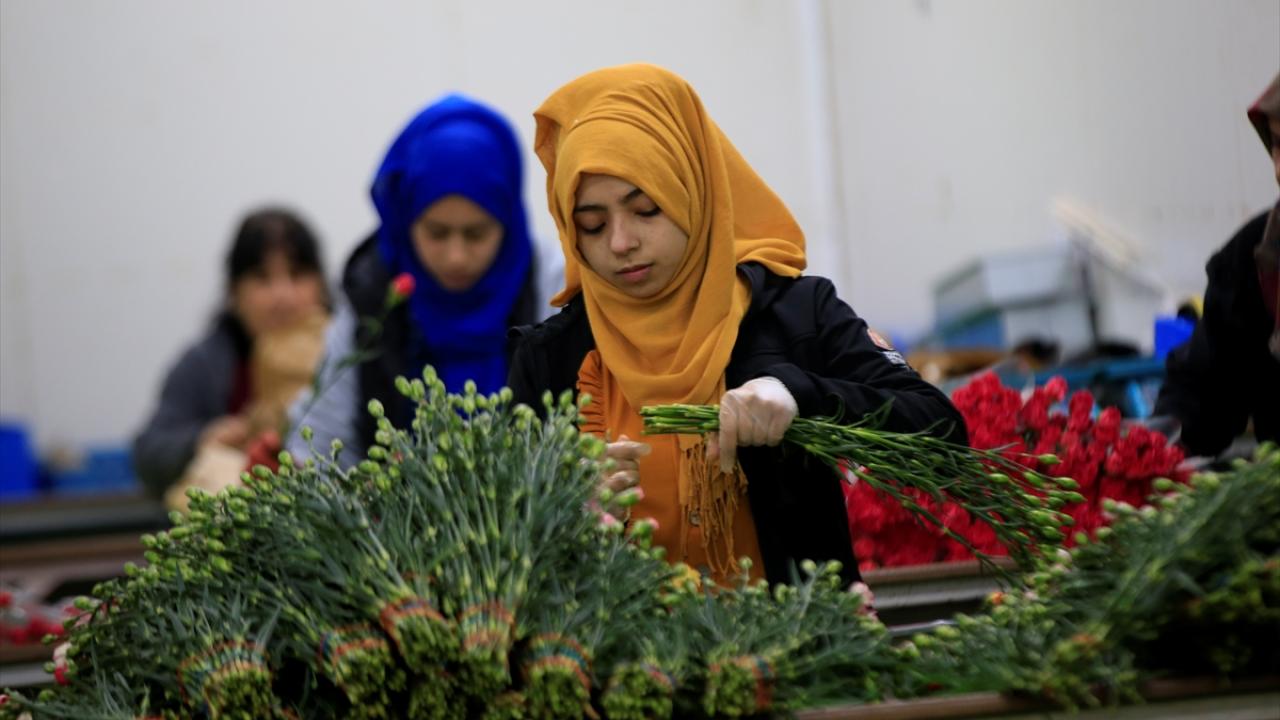 Sektör dünya pazarından yüzde 3`lük pay almak istiyor