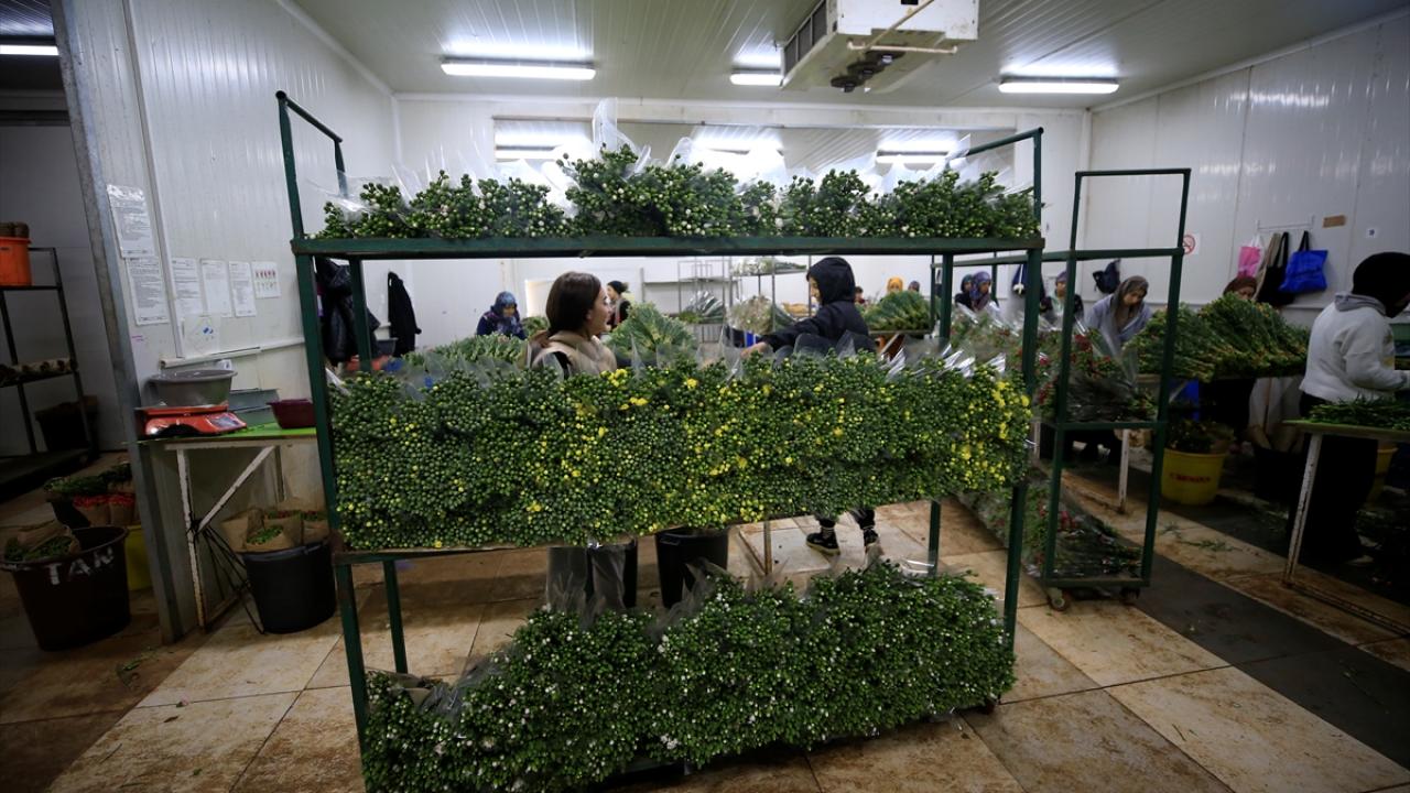 Yerel seçimler iç pazarı hareketlendirecek