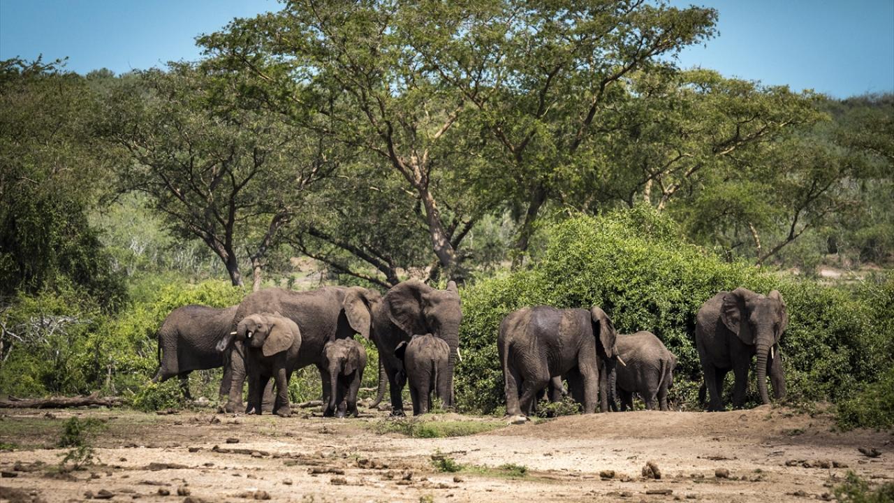En fazla biyolojik çeşitliliğe sahip alanlardan biri