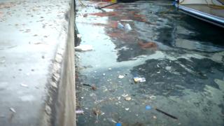 Bebek sahili inanılmaz halde