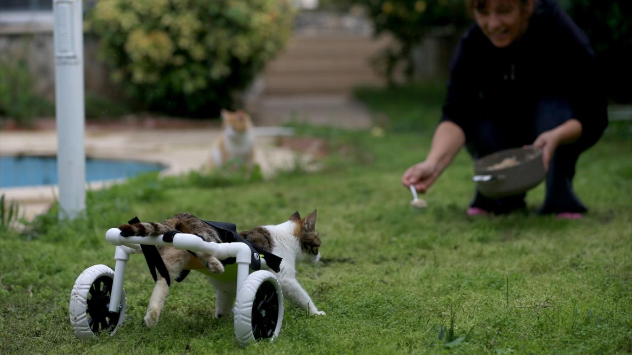 "Artık engelli değil, engelini aştı"