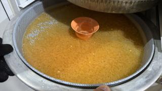 Elazığ'da üretilecek 2 milyon yavru alabalık ekonomiye kazandırılacak