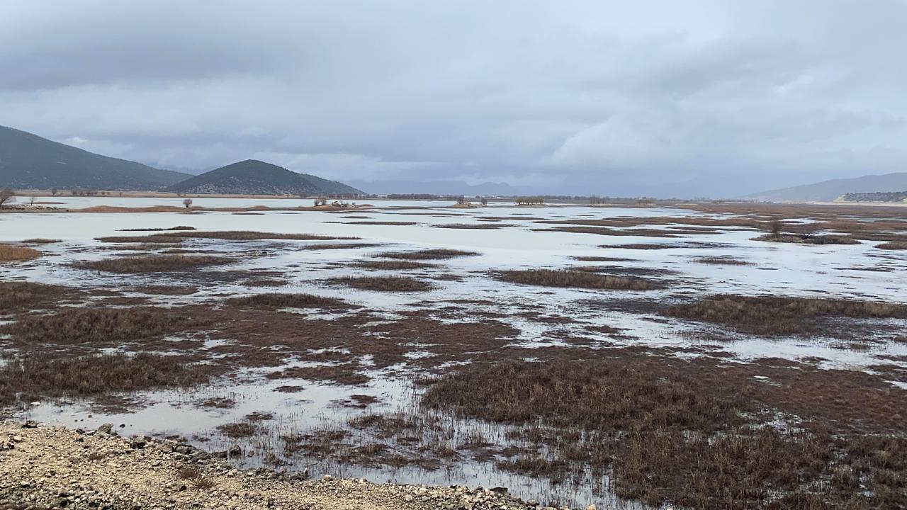 Zirai atık uyarısı