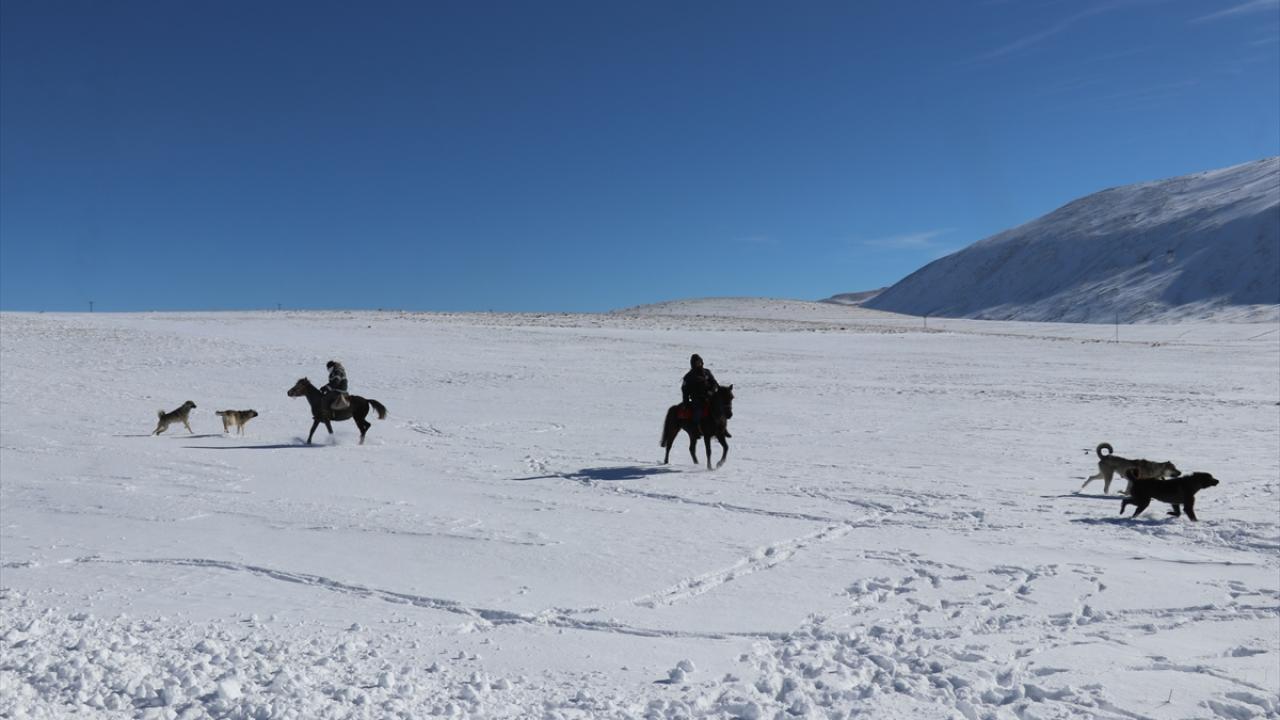 Fotoğrafçılar için ideal bir destinasyon"