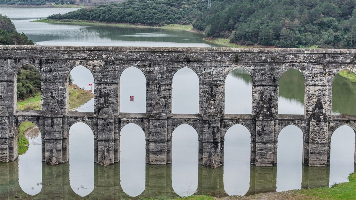 Son 10 yılın doluluk oranları