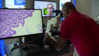 Rahim ağzı kanserinde erken teşhis önemli