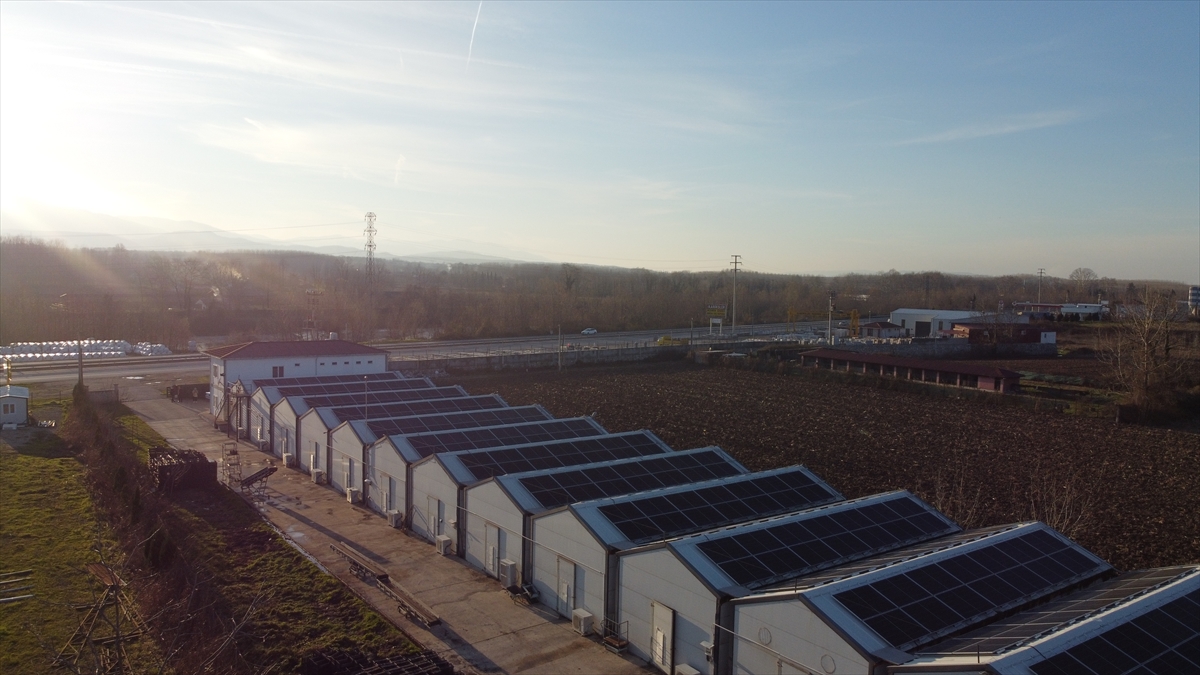 Devlet desteğiyle kurdukları tesiste 200 ton kültür mantarı üretiyorlar