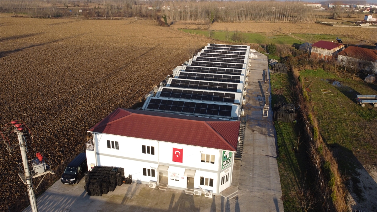 Devlet desteğiyle kurdukları tesiste 200 ton kültür mantarı üretiyorlar