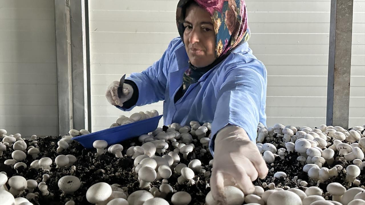 "Dünya standartlarına uygun tesis haline getirmek istiyoruz"