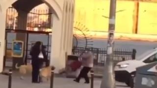 Kadıköy'de yaşlı kadına köpekler saldırdı: O anlar kamerada