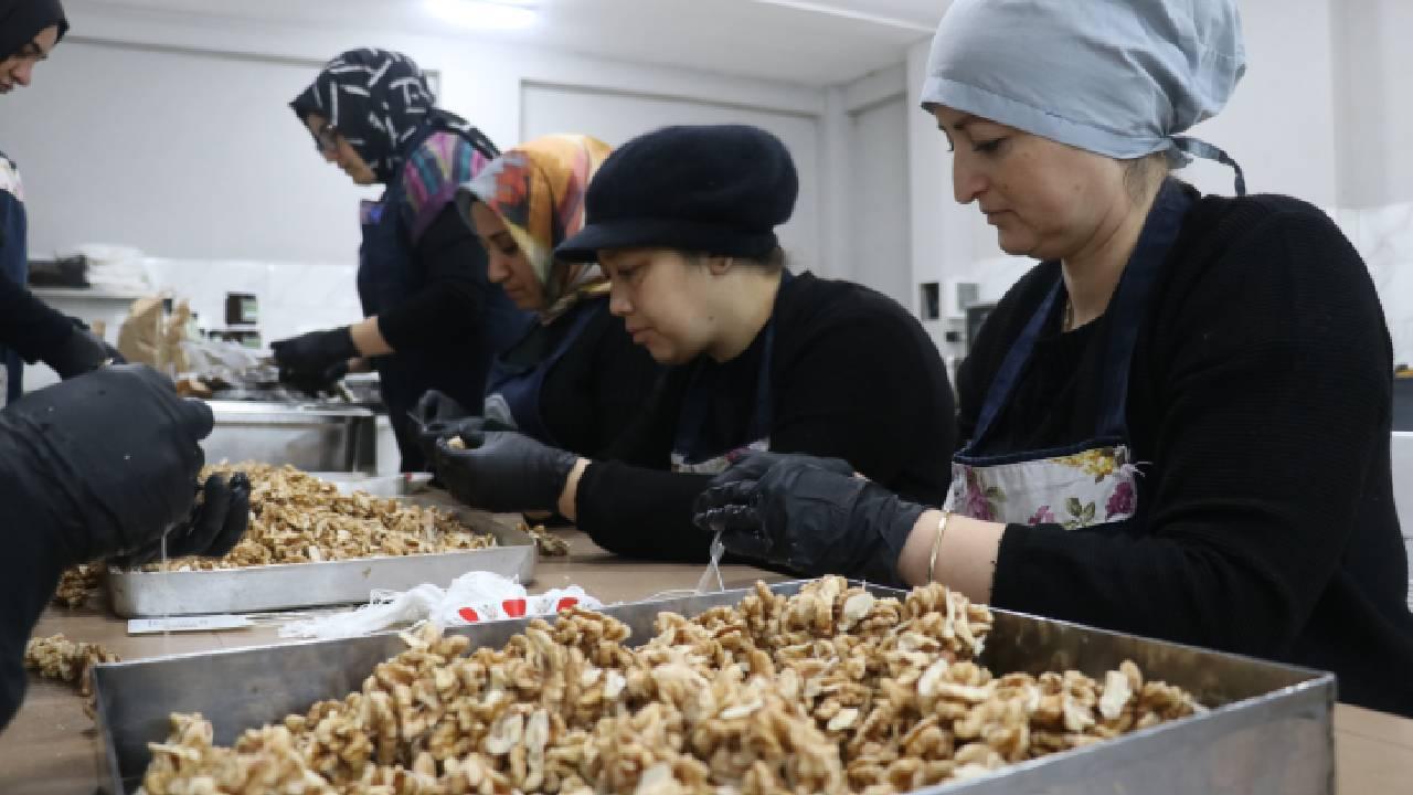 Yalova'da yetişen meyveler kadınların elinde katma değerli ürüne dönüşüyor
