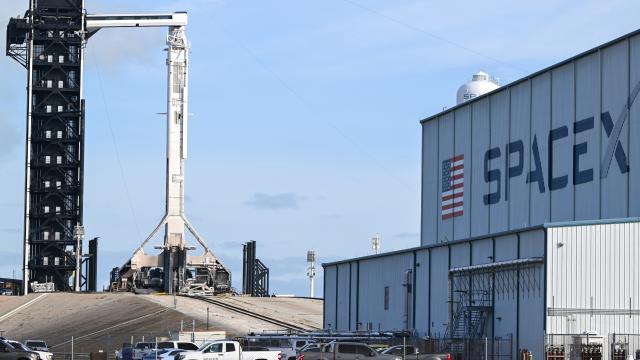 SpaceX'in geliri ikinci çeyrekte yıllık bazda yüzde 92 arttı haber görseli