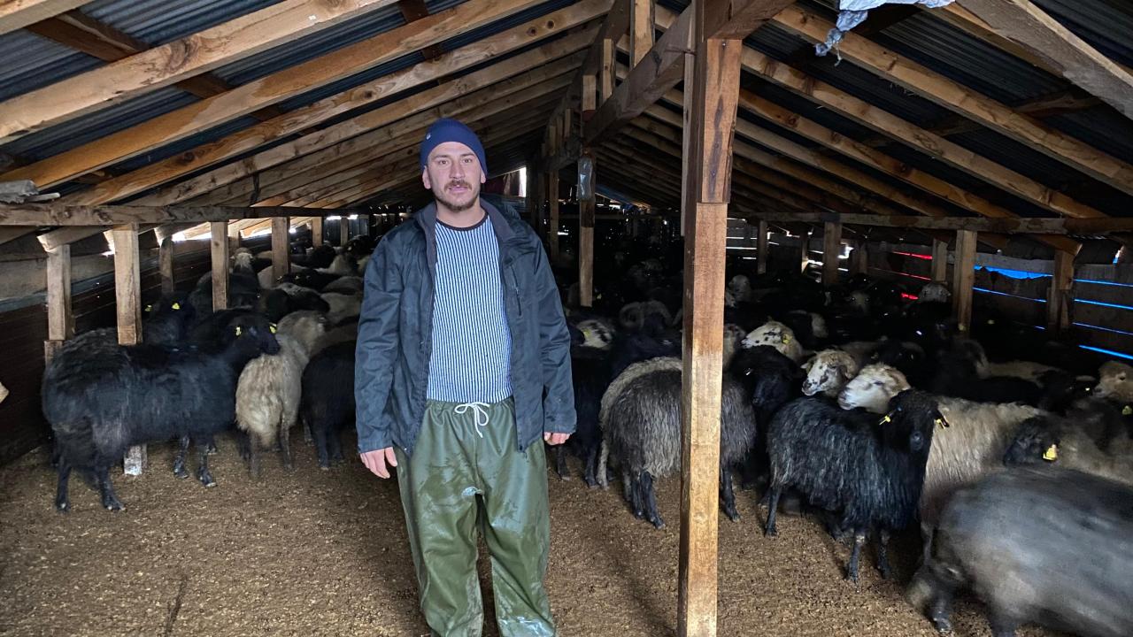 “10 hayvanım telef oldu”