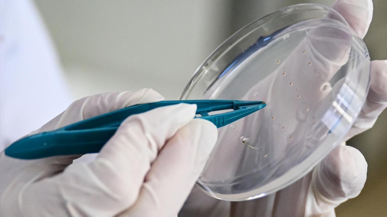 "Orada boncuk boncuk gözyaşlarımız döküldü"