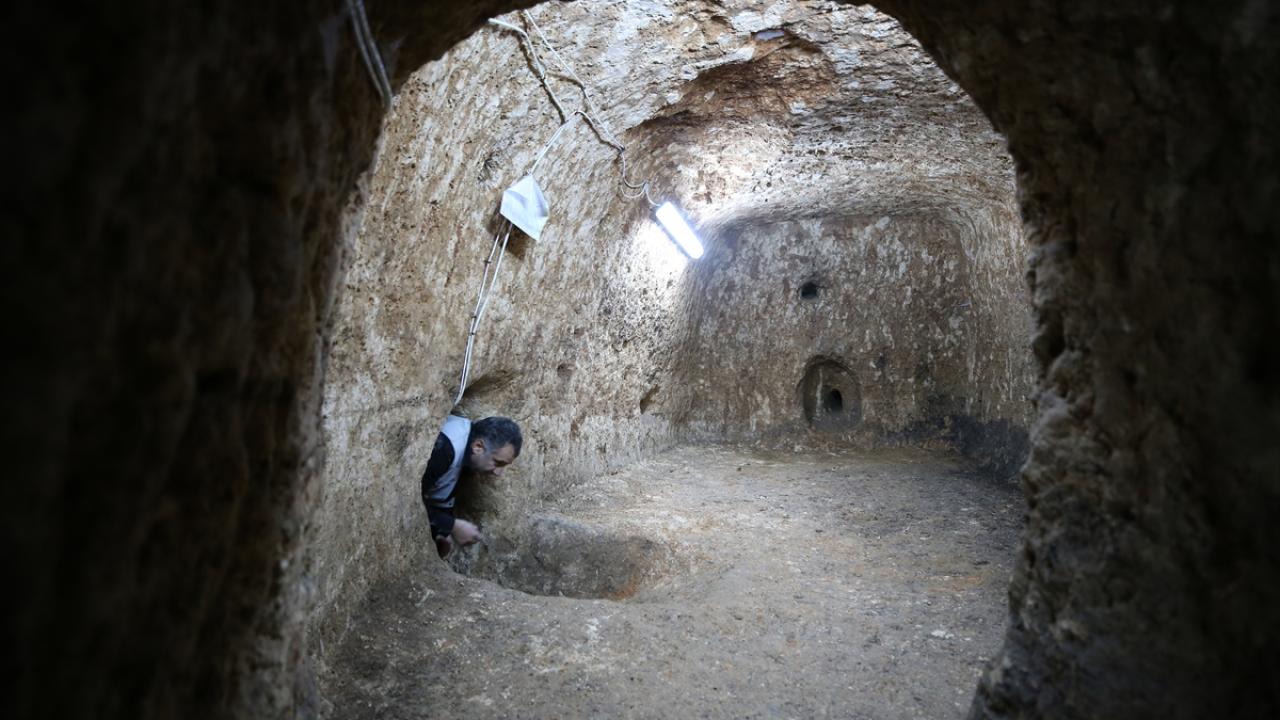 "Buradan antik bir tohum elde etmeyi umuyoruz"