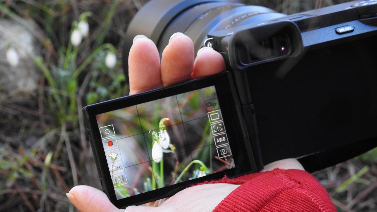 Koparmanın cezası 387 bin 142 lira