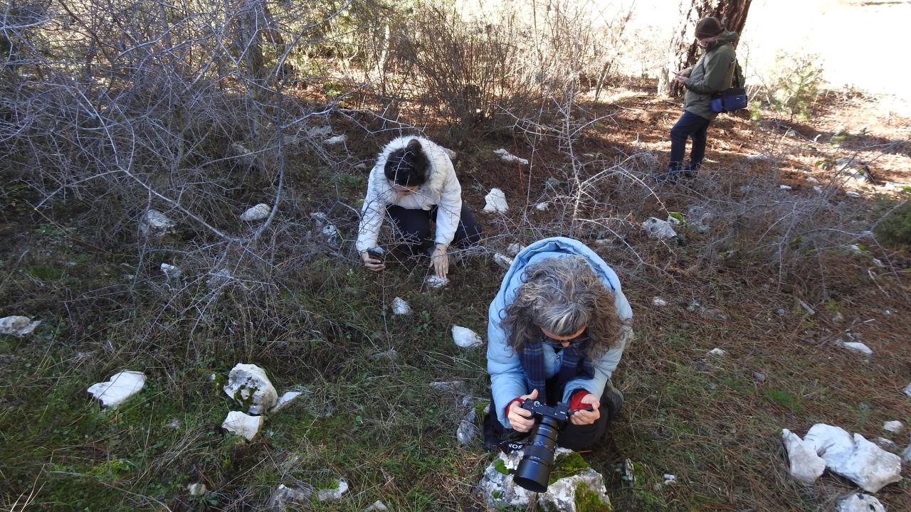 Fotoğraf tutkunları iş başında