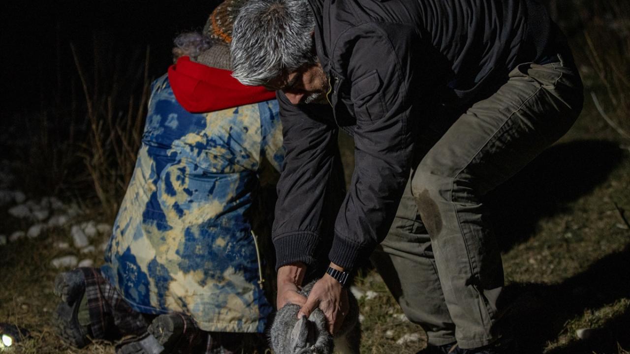 "Tavşanları buraya bırakmak demek, ölüm demek"