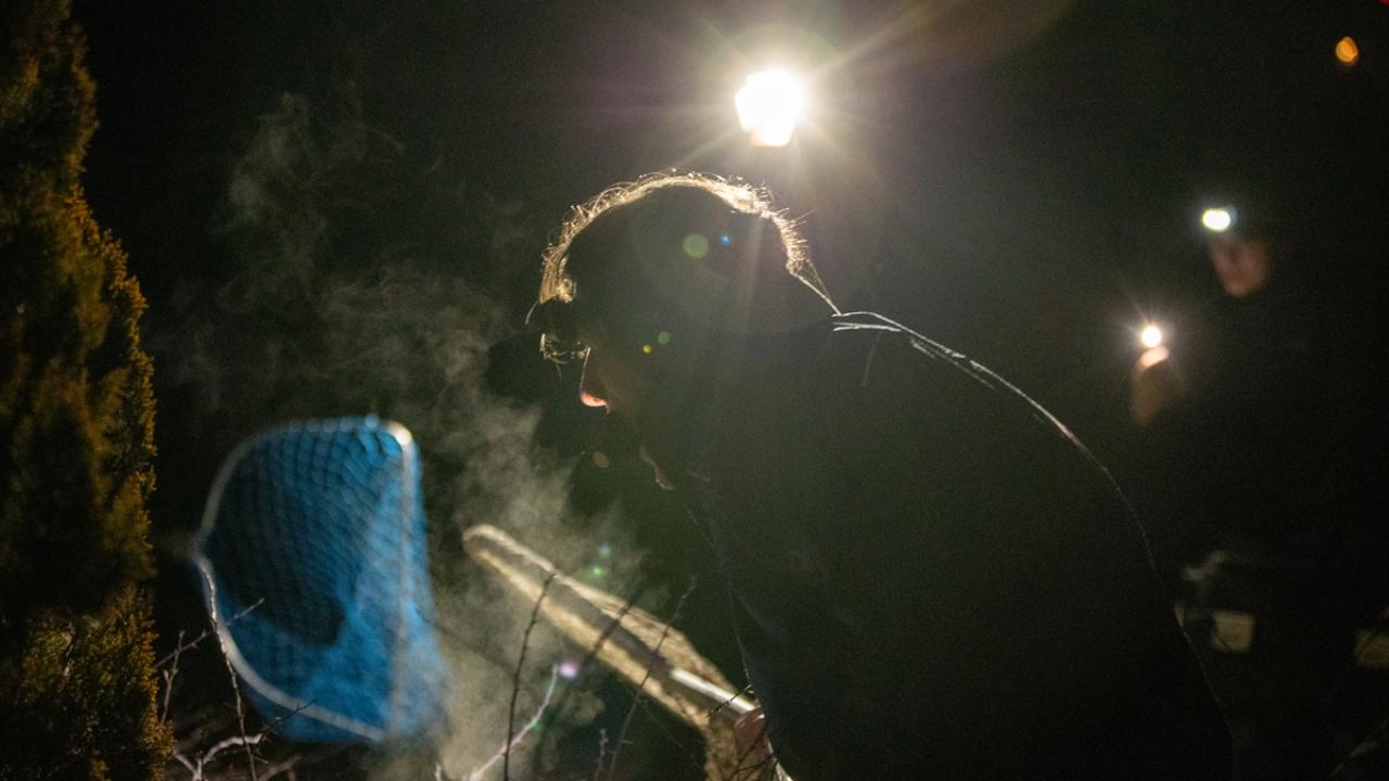 "Soruşturma başlatılmalı"