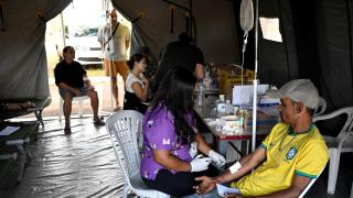 Brezilya'da dang humması hastalığı