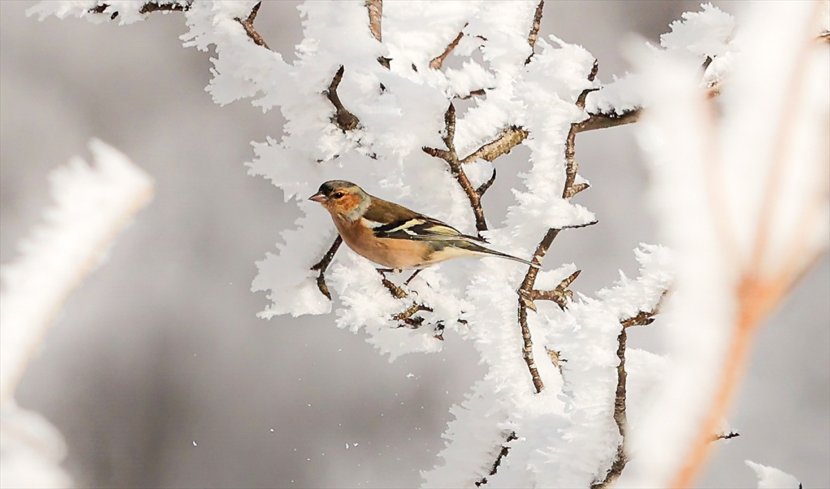"Teknoloji buraya uğramasın mümkünse"
