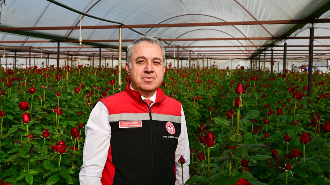 "Sözleşmeli, planlı üretime geçmeye çalışıyoruz"