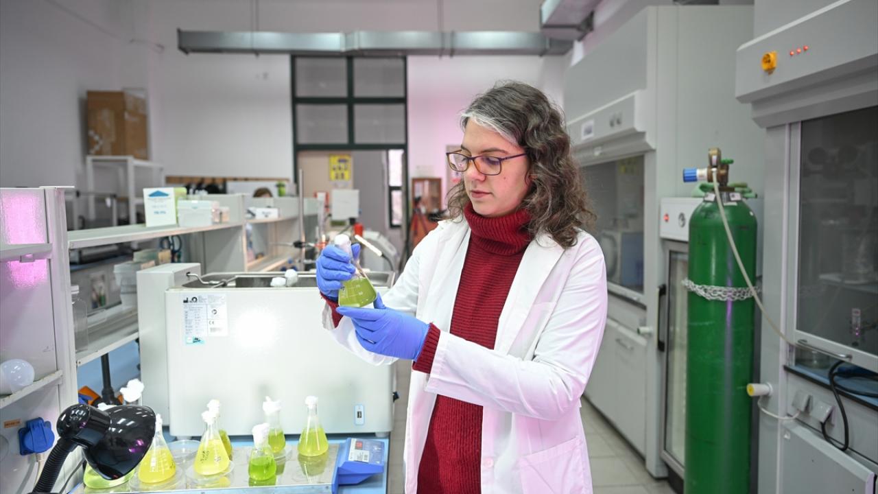 "Günlük olarak deneylerimizi takip ediyoruz, çalışmalar başarıyla devam ediyor"