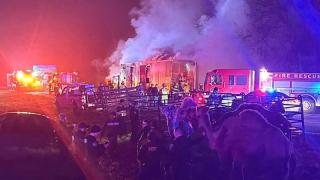 Otoyol kenarında otlayan zebra ve develer görenleri şaşırttı