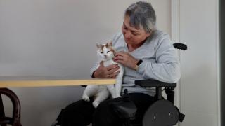 Bedensel engelli emekli öğretmen ile gözleri görmeyen kedisi "can yoldaşı" oldu