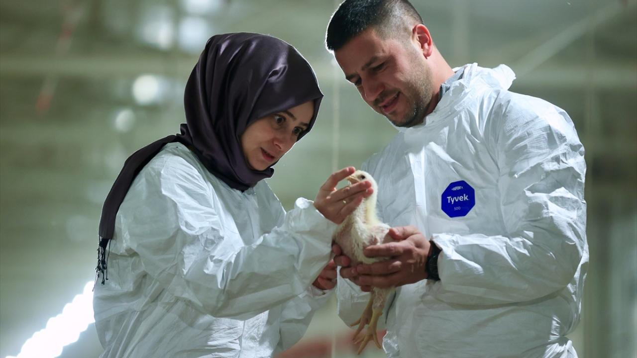 "Şehir hayatından çok daha güzel bir yaşantıdayız"