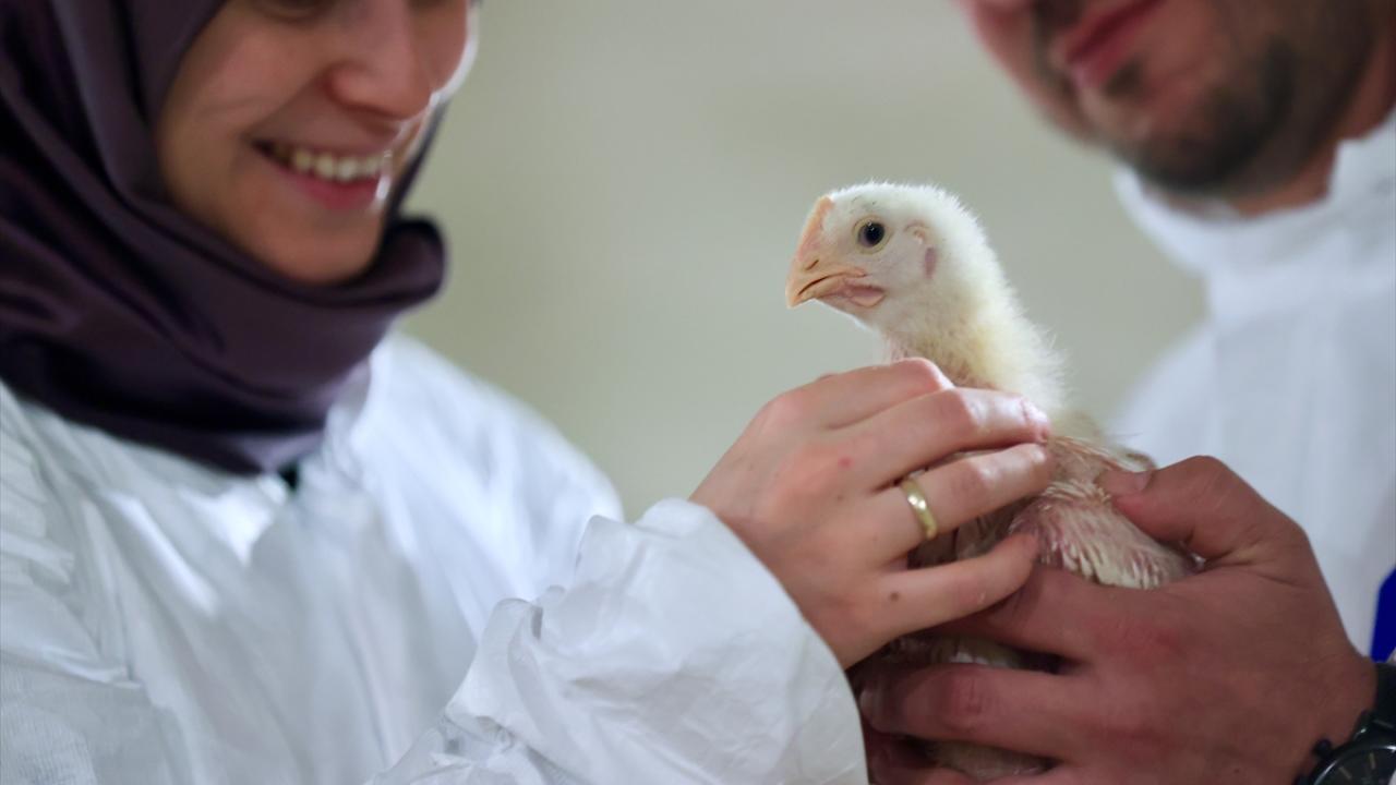 "Bu işin saati yok ve dükkanı kapatma şansımız yok"