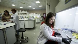 Gezeravcı'nın denediği CRISPR tekniğiyle bitkilerde verimliliğin artırılması amaçlanıyor