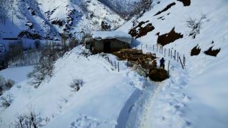 Hakkari'de köylülerin zorlu kış mesaisi