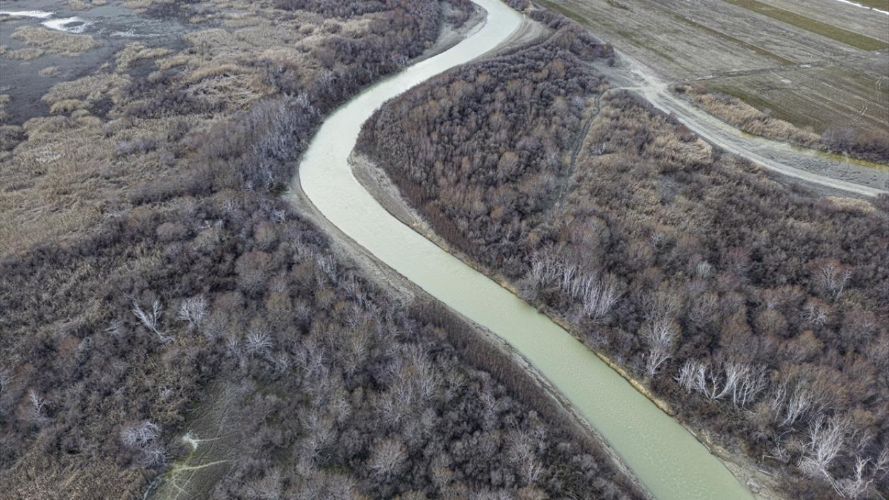Nallıhan Kuş Cenneti