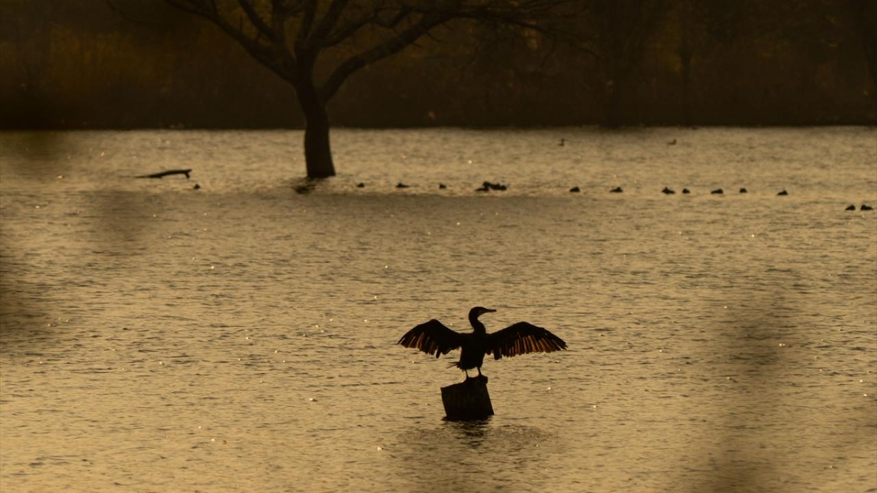 Hindistan-Raghav Sagar Gölü