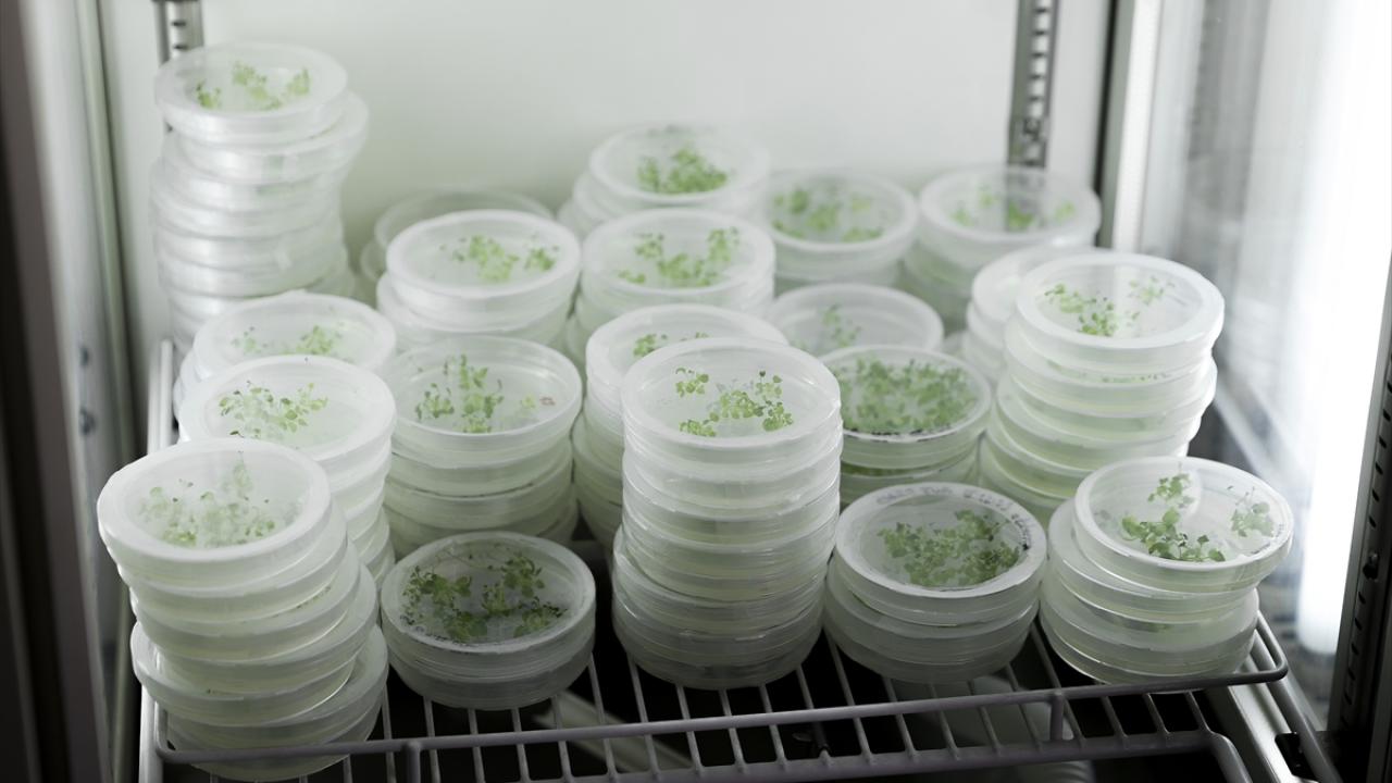 "Çok faydalı bilimsel çıktılar sunmayı hedefliyoruz"