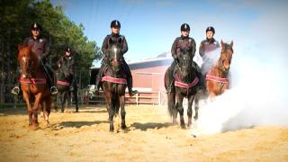 Atlı polislerin bir günü