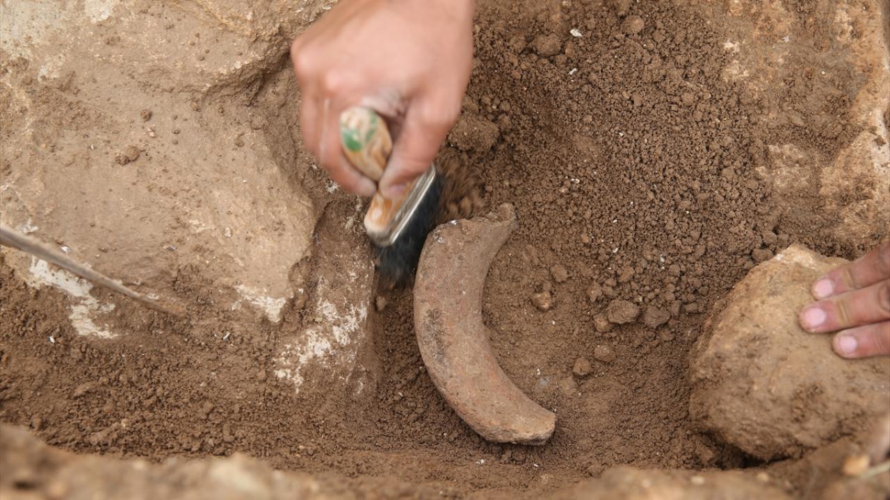 "Bölgedeki en büyük höyüklerden biri"