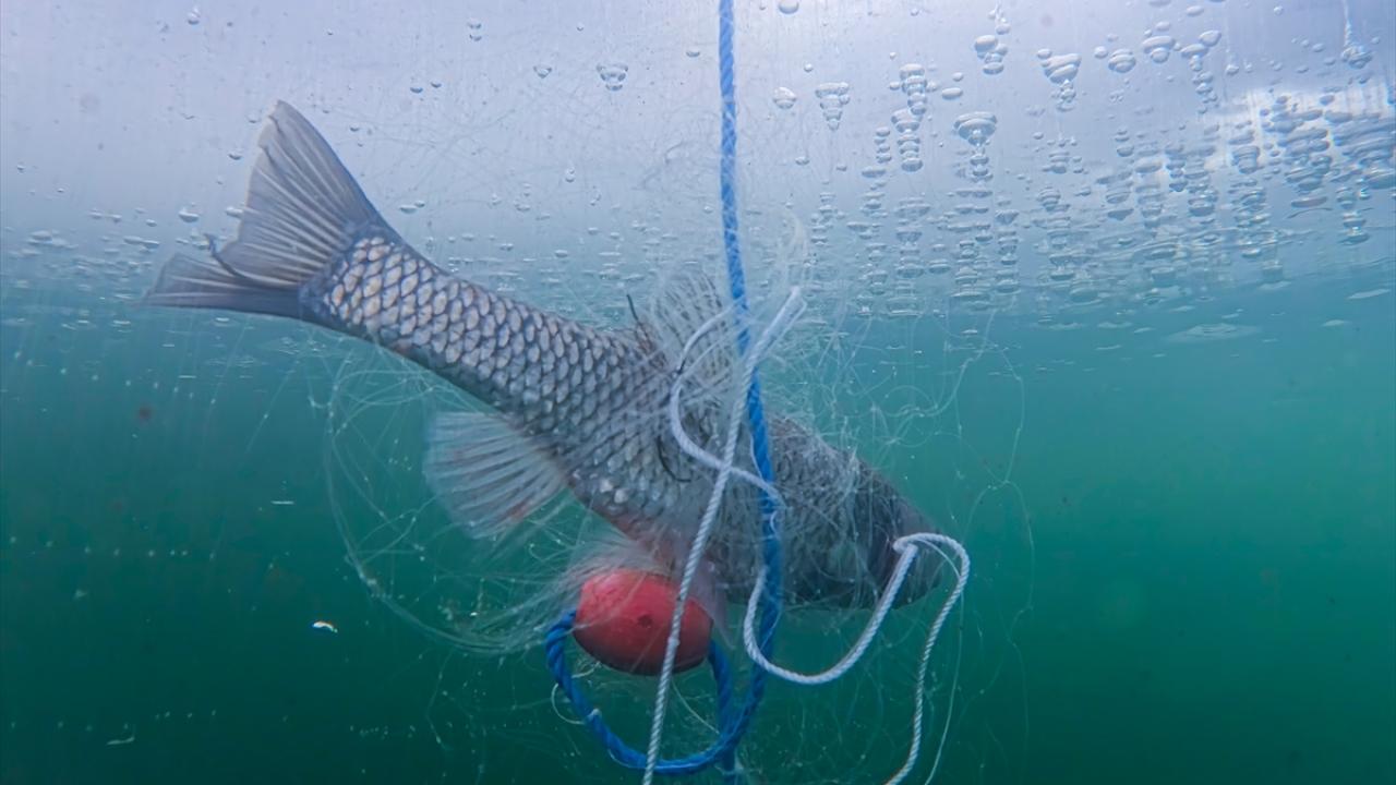 Buz altına bıraktığı ağları birkaç gün bekletiyor