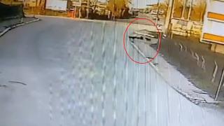 Kocaeli'de okula giden çocuğa 2 köpek saldırdı