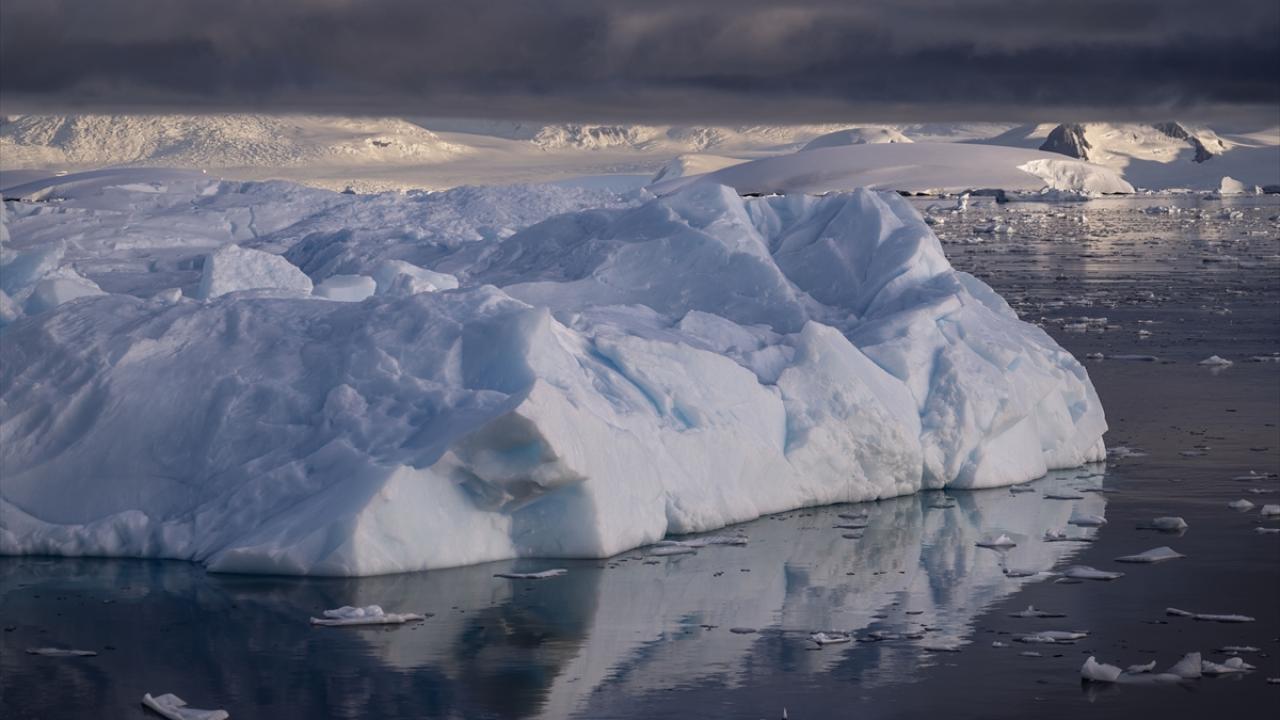 "Daha önceki seferlerde hiç görmediğimiz kadar buzdağı gözlemledik"