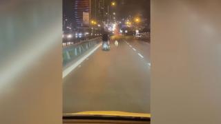 İstanbul D-100 kara yolunda koşan köpek kamerada