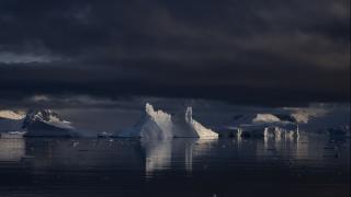 İklim değişikliğinin delili: Güney Okyanusu'nda yüzen buz dağları