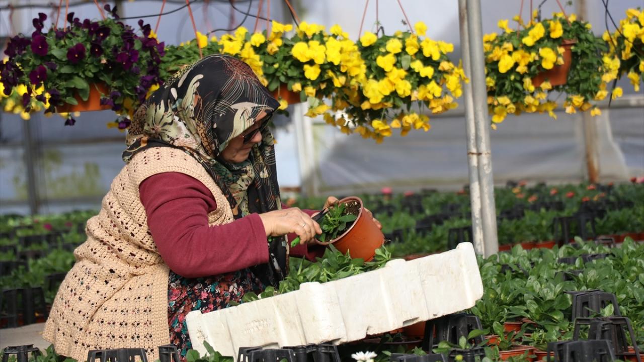 "Rusya`nın alım hacmi yaklaşık 600 milyon dolar"